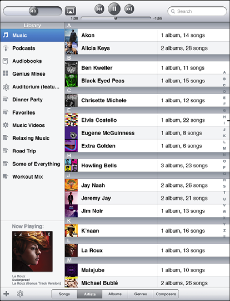 Music library in the iPod app for iPad