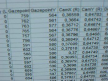 Data exported to an Excel file