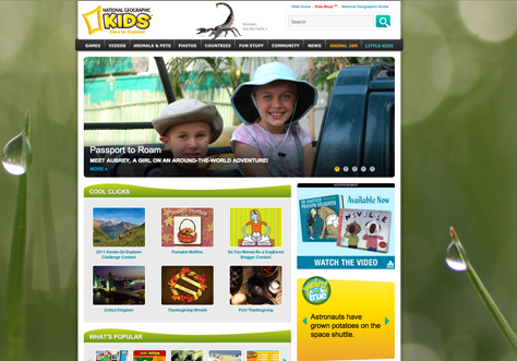 Web Design for Kids: Color