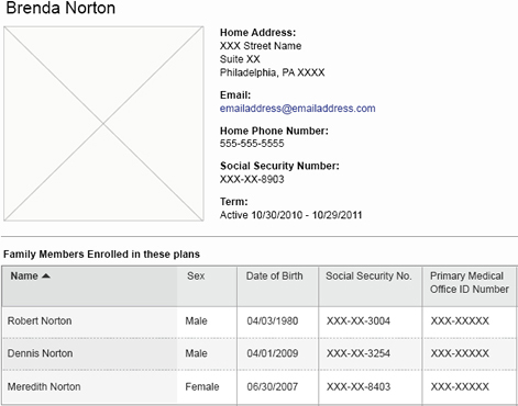 Instead of displaying real data, this prototype substitutes Xs