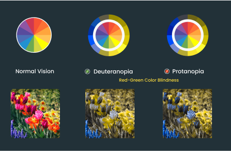 Common forms of color-deficient vision