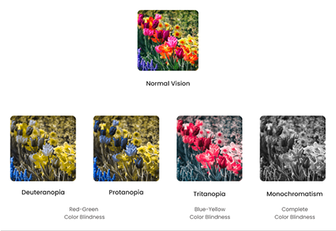 Colors as experienced by people with color-deficient vision